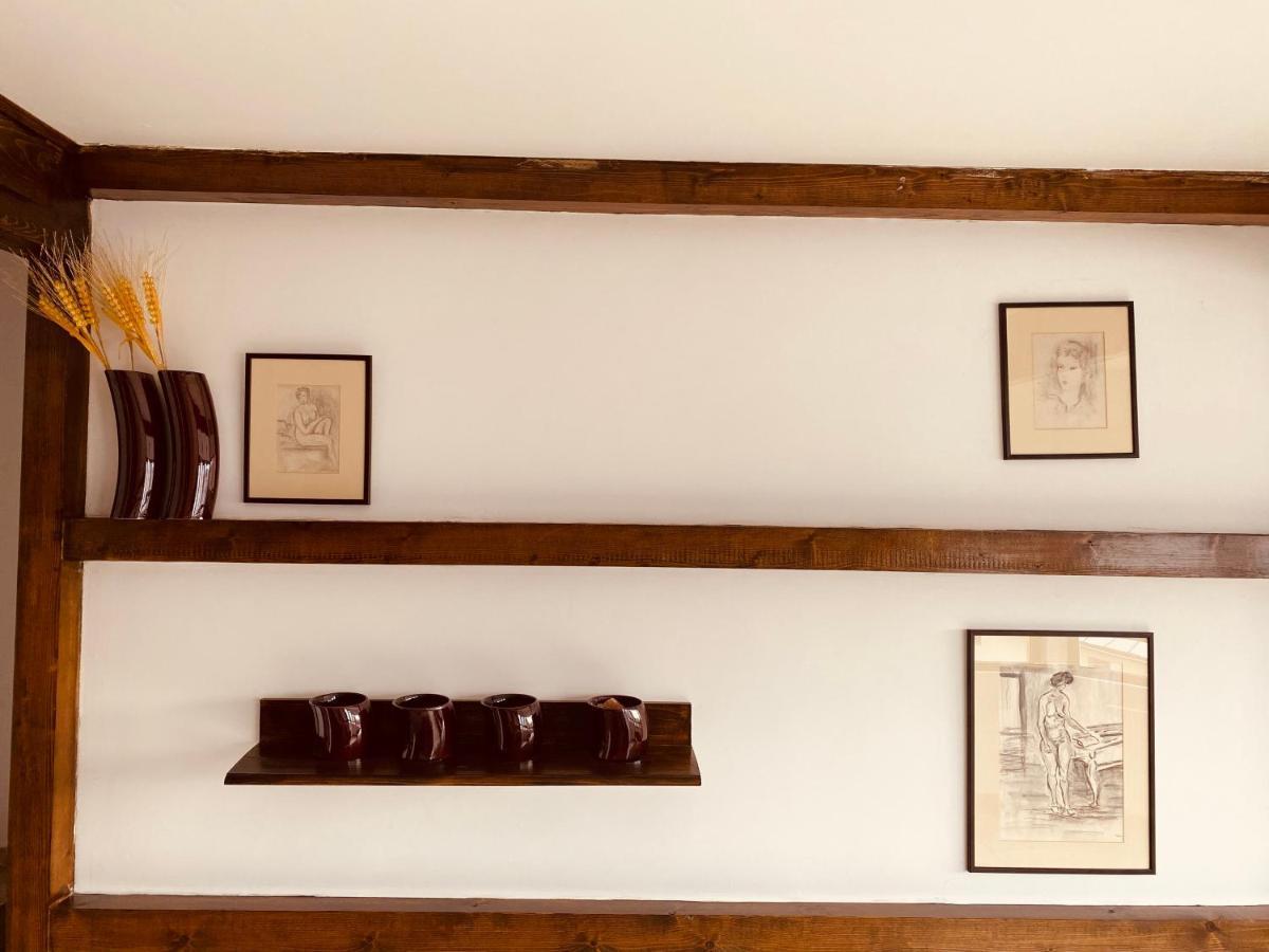 Casa Pisica Noastra