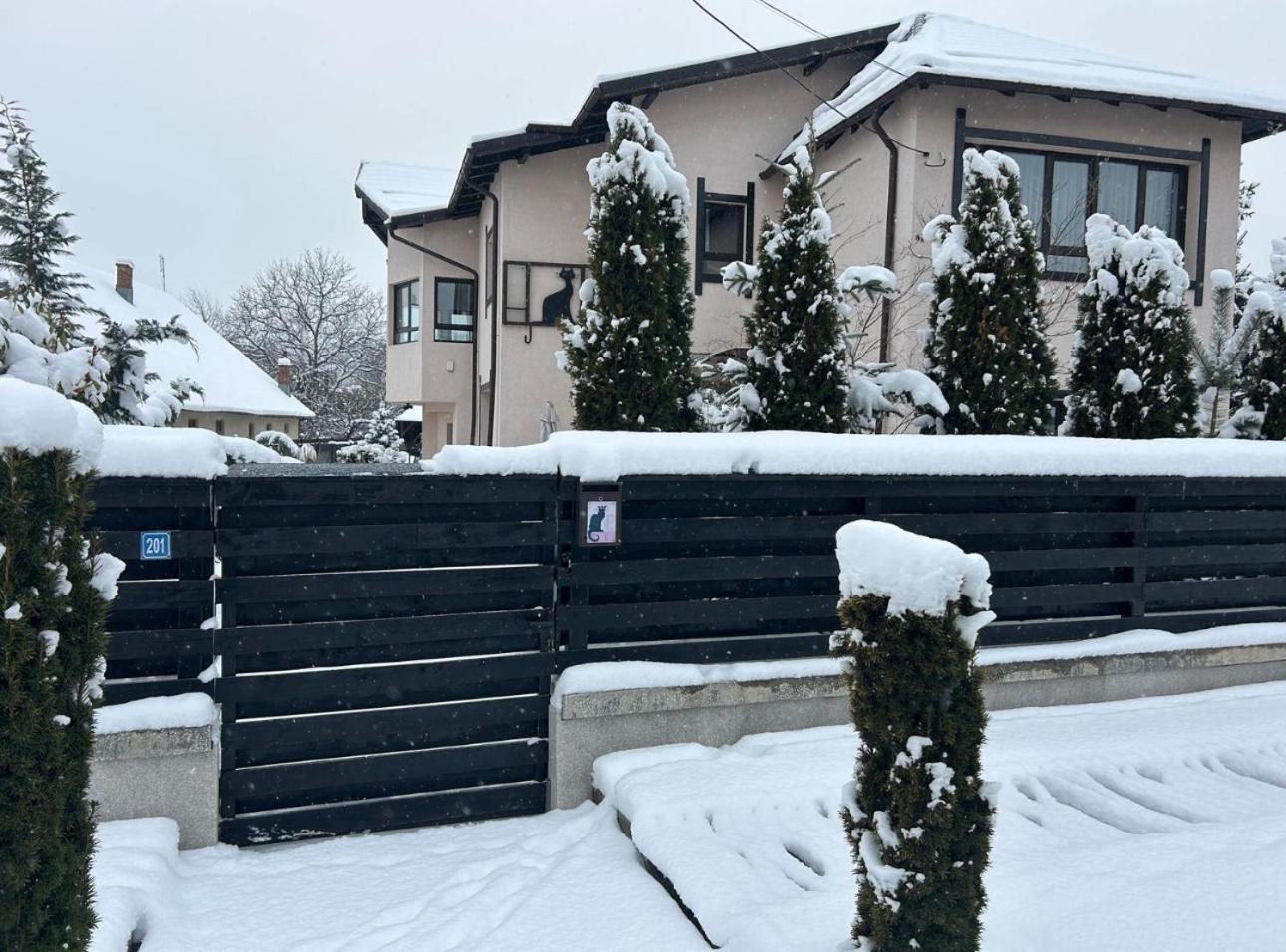 Affittacamere Casa Pisica Noastra