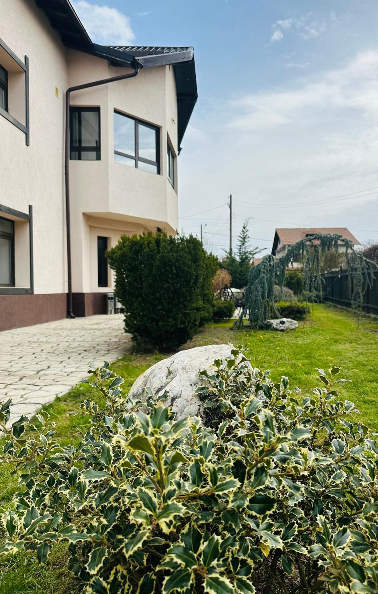 Casa Pisica Noastra *