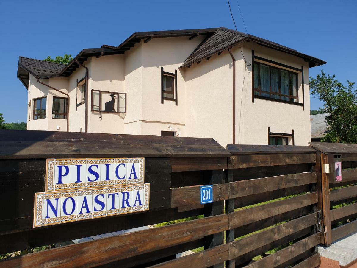 Affittacamere Casa Pisica Noastra Breaza (Prahova)